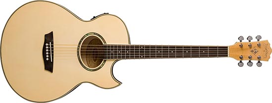 Washburn EA-20