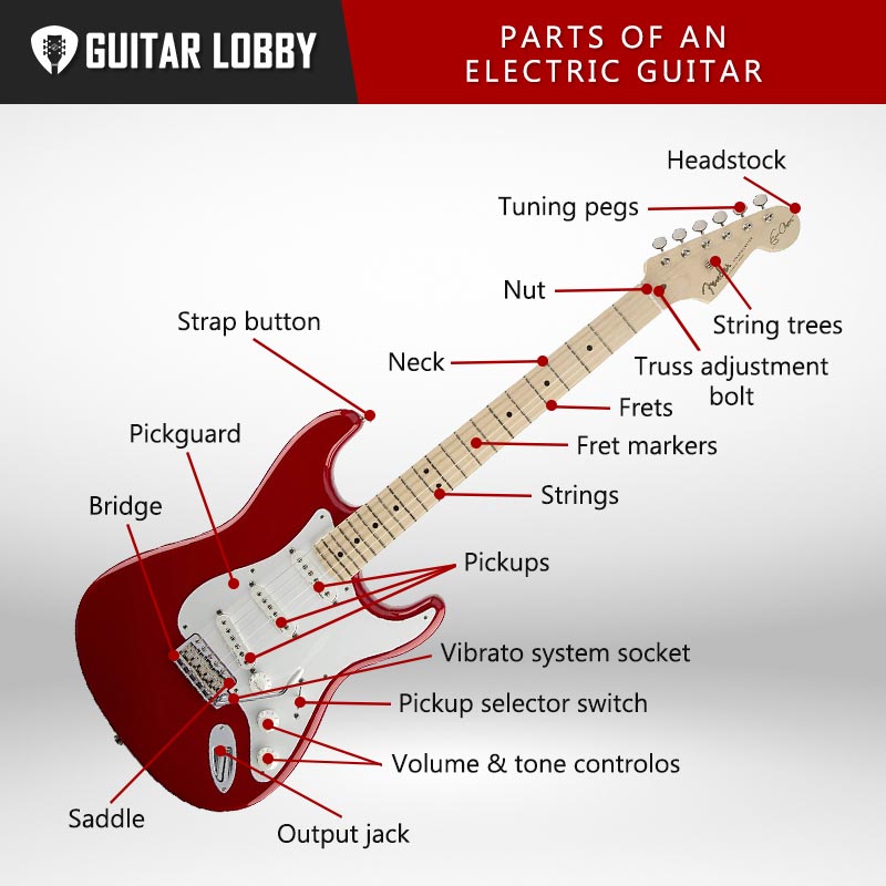Parts of an Electric Guitar Diagram