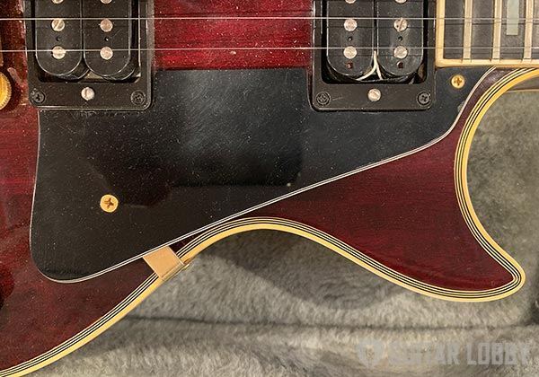 Pickguard of an Electric Guitar Les Paul Style