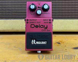 Boss DM-2w Delay