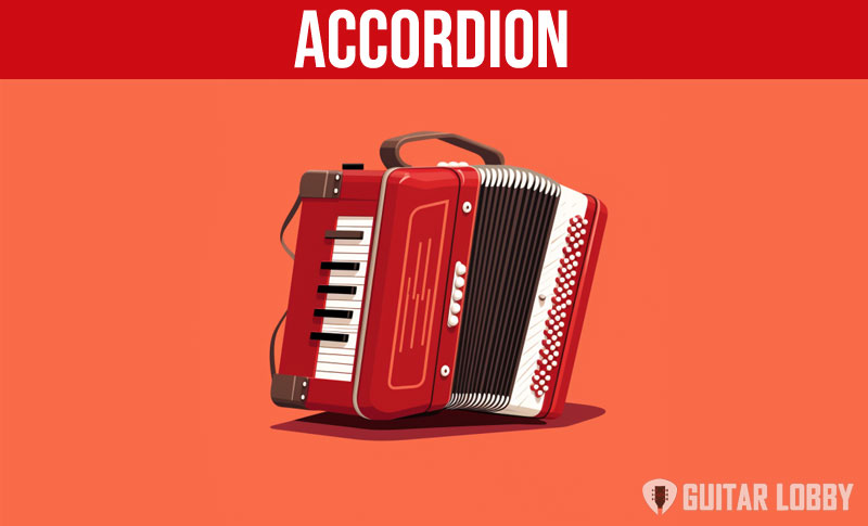 Accordion music instrument