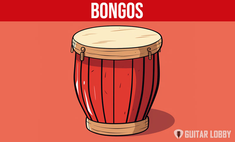 Bongo instrument graphic