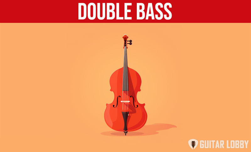 Double Bass music instrument