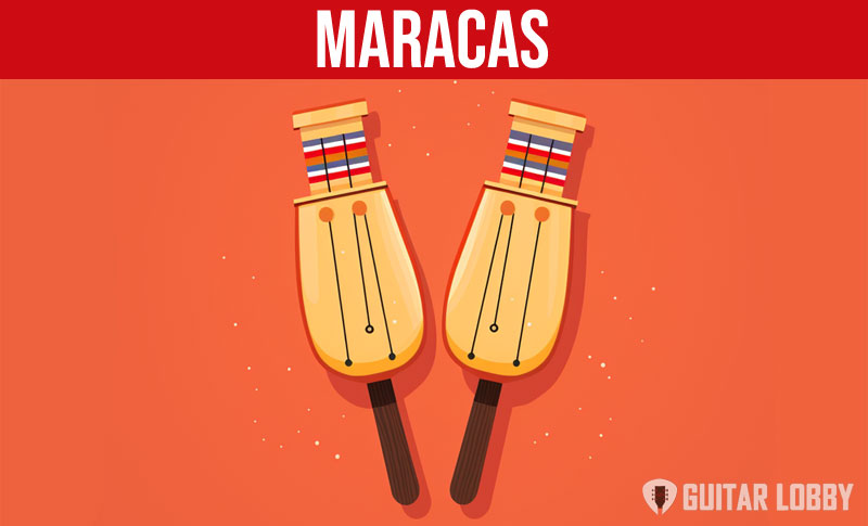 Maracas cartoon graphic