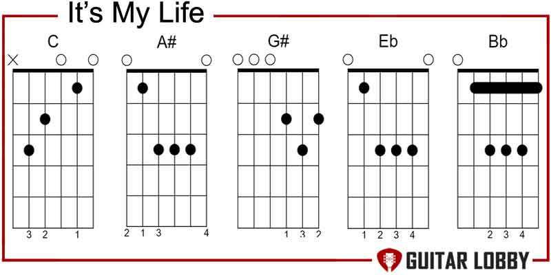 It’s My Life by Bon Jovi power chords